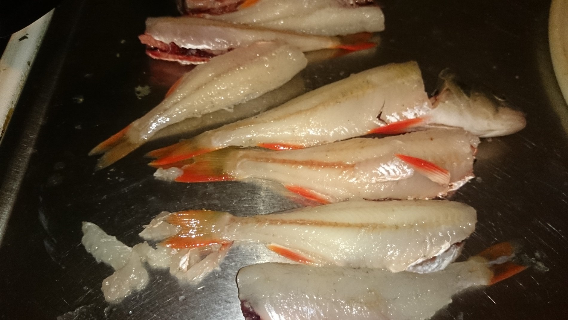 🍽️ Verpflegung